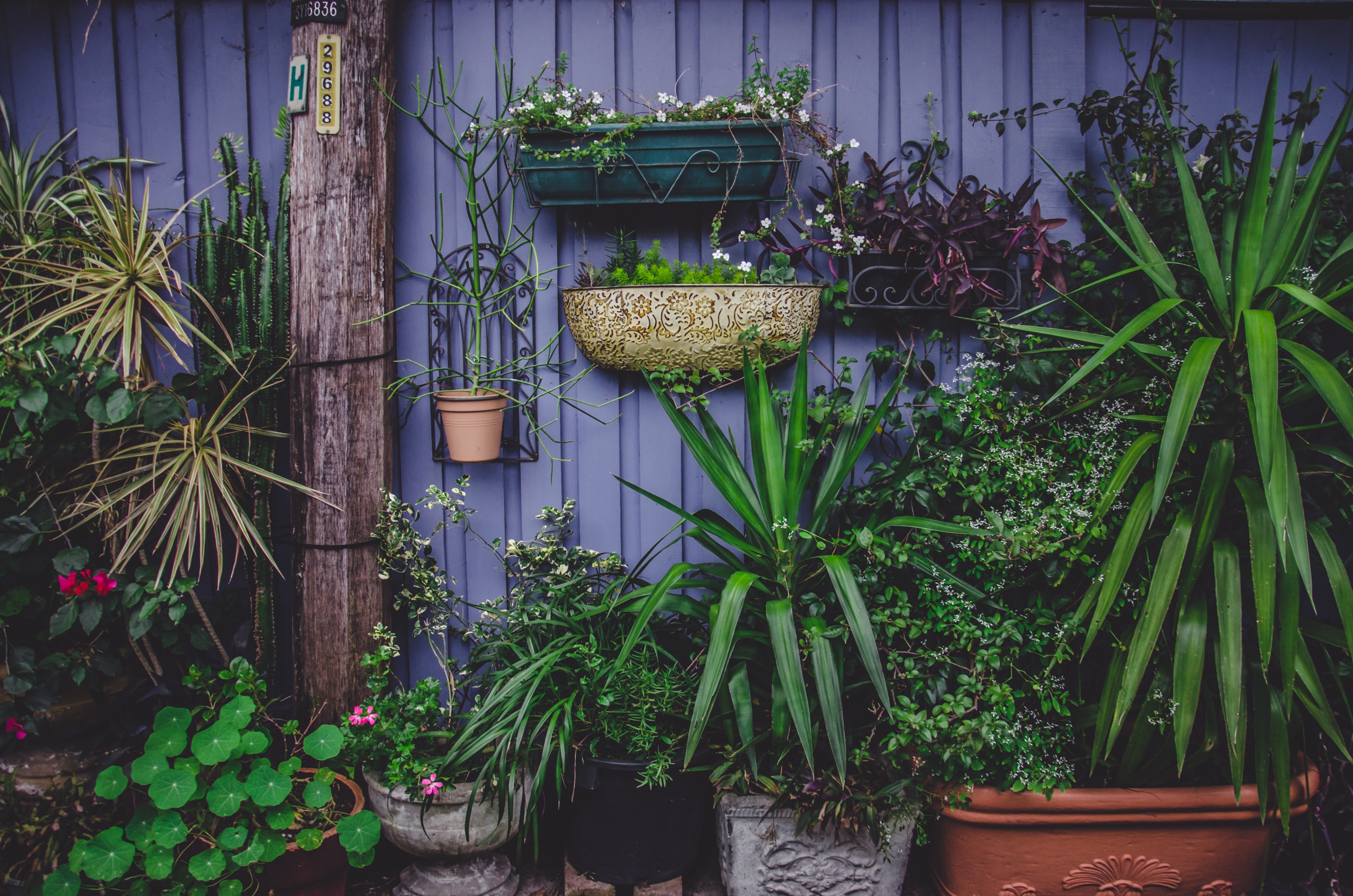 Top 2019 Garden Trends to Try Out in Your Collingwood Garden